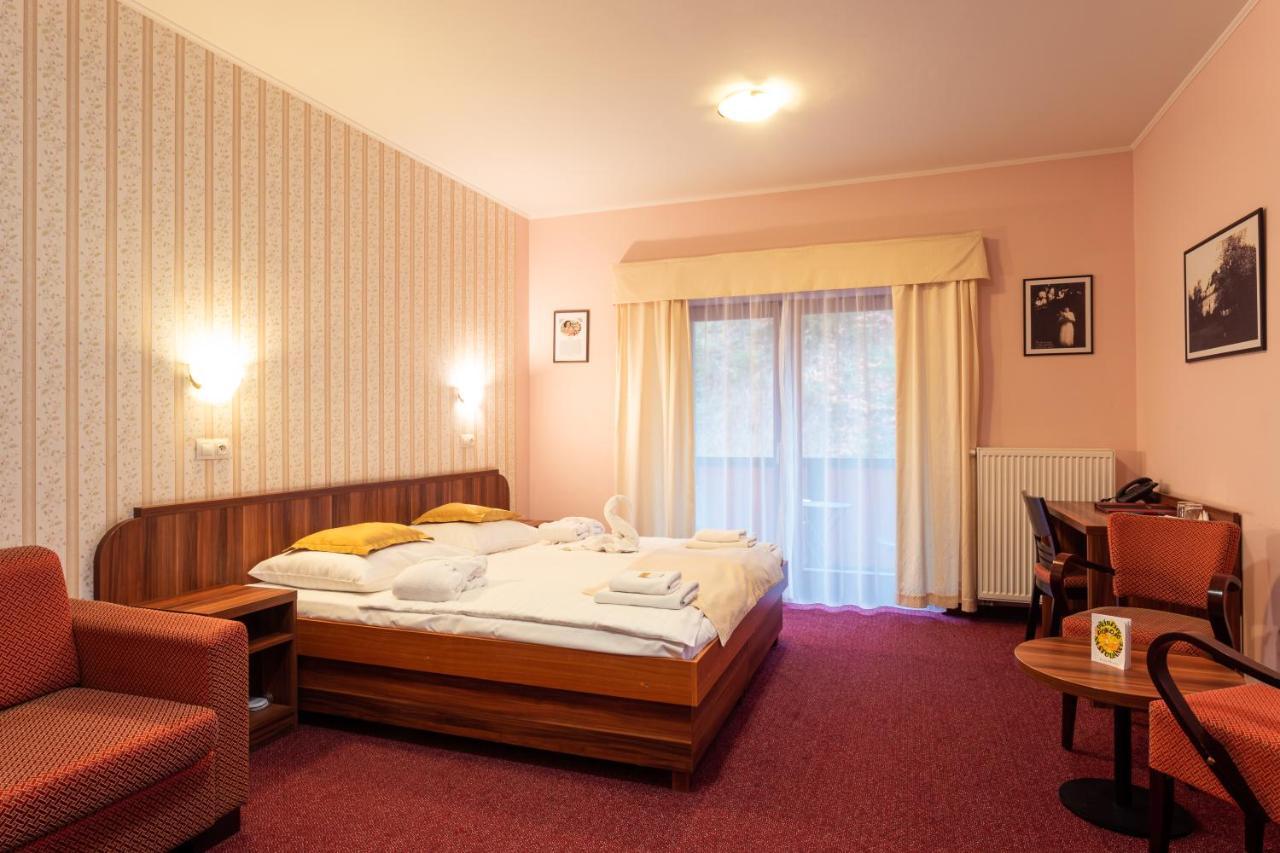 Hotel Studanka Рихнов над Кнежноу Екстериор снимка